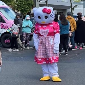 Meet your Posher, Torres